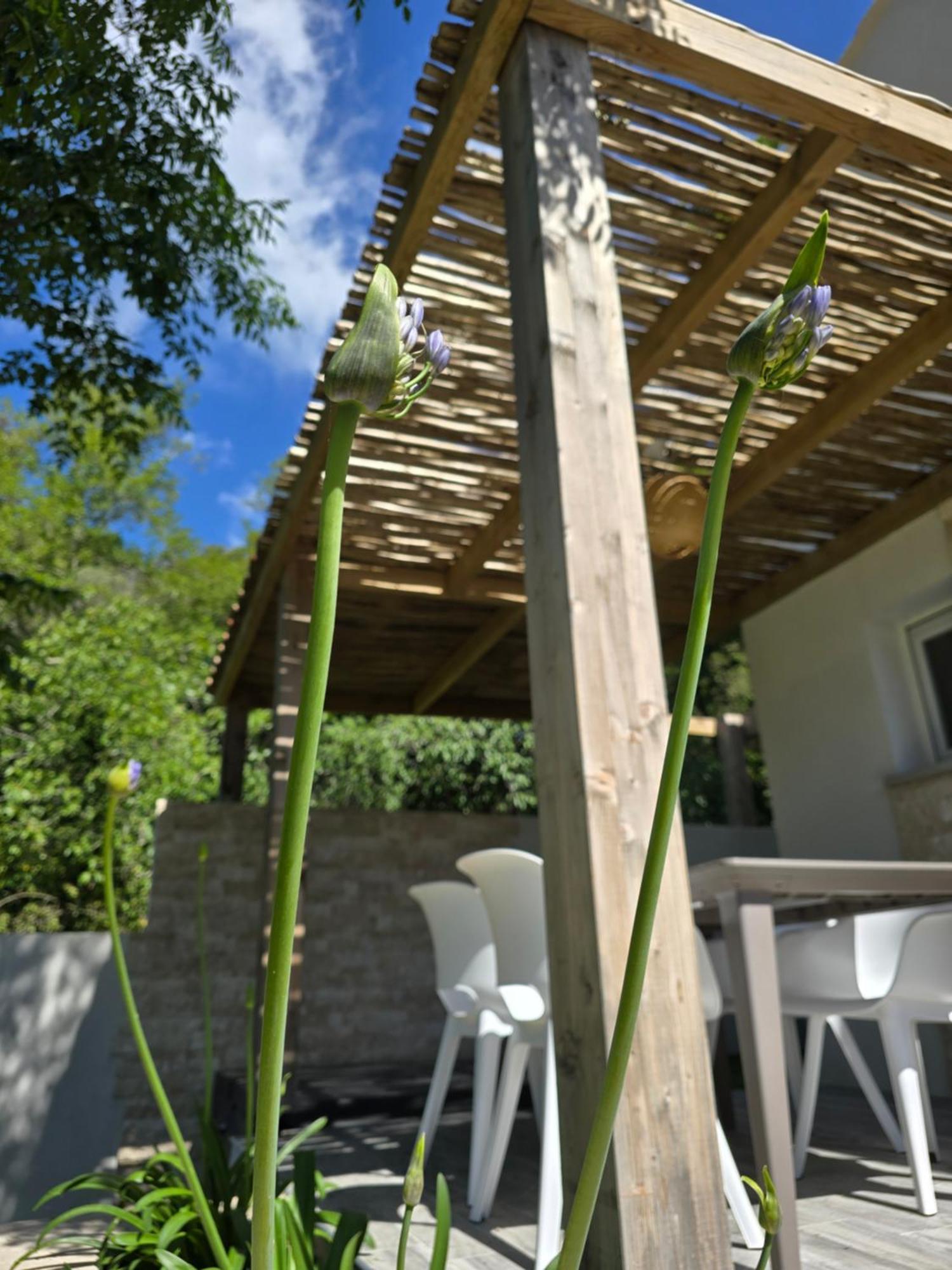 Petite Maison - Porto-Vecchio Zewnętrze zdjęcie